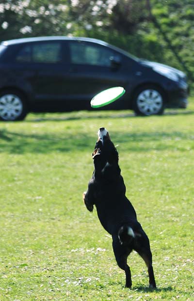 Dina, frisbee