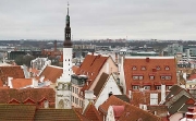 Tallin rooftops