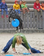 frisbee demo