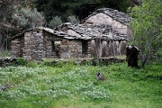 house in Christos