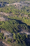 Radi forest from Koskina castle