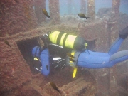 Peltastis wreck