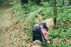 babysitter for a day during blueberry season