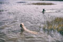 Cerniško jezero, still warm in late September