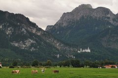 Neuschwanstein Disney castle