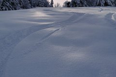 abandoned ski area provided several days of nice turns