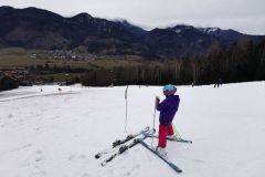 Mojstrana