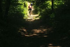 Zmajev MTB izziv