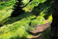 Kope bike park