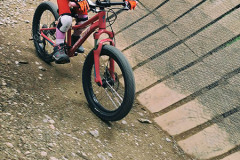 Paganella bike Andalo