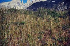Dolomiti di Brenta