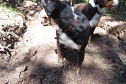 a very enjoyable mud bath, day 2