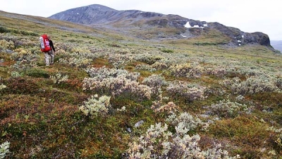 On the way from TÃ¤ltlÃ¤gret to Giron (1543m), outside Abisko NP, Sweden