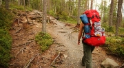 Pieni Karhunkierros trail (12km overnight loop), Oulanka NP, Finland