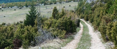 Pirlitor access road