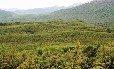 Galičica national park