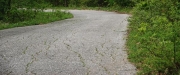 you know the road isn't used much where there's grass and moss growing on the asphalt