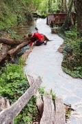 Vevčani springs