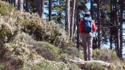 towards bergeries de Capelaccia