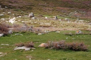 Trail from bergeries de Capelaccia down to vallÃ©e de Tavignano