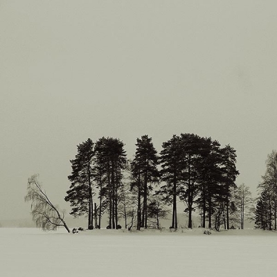 The western tip of Enonsaari island on lake VesijÃ¤rvi