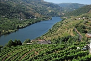 Douro valley tour, MesÃ£o Frio