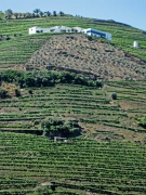 Douro valley tour