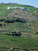 Douro valley tour