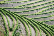 PinhÃ£o, Alto Douro