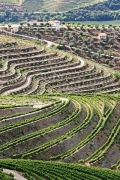 PinhÃ£o, Alto Douro