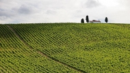 Quinta de CidrÃ´ & Quinta Senhora do Rosario (Quevedo), SÃ£o JoÃ£o da Pesqueira