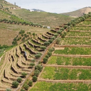 Rio Douro Â©Jaka