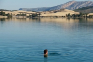 morning swim, Embalse Conde del Guadalhorce, Ardales