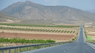 Almond groves around HuÃ©scar