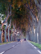 somewhere along the ArdÃ¨che Â©Jaka