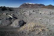 HlÃ¶Ã°ufell (1186m) from F338 (SkjaldbreiÃ°arvegur)