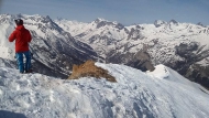 Cucumelle (2698m), Serre Chevalier