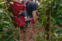 anti-jetlag hike through Iao Valley jungle ©Jonna