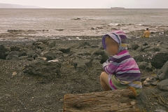 Whale spotting and snorkelling at Ahihi bay - Cape Kinau Natural Area Reserve