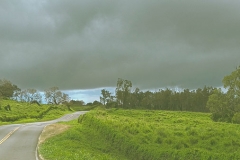 Kula-Piilani Hwy ranchland