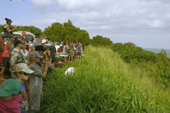 Peʻahi/Jaws lookout point crowd