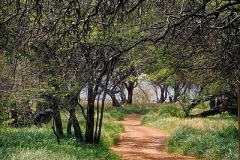 Piilani Hwy, Kaupo