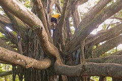 Climbing session, Pipiwai trail, Kipahulu ©Jonna