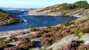 now one of my favourite swimming spots, Ormhilleren friluftslivsomrÃ¥de, RongÃ¸yna island Â©Jonna