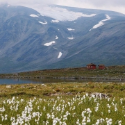 Bessvatnet & BesshÃ¸brean glacier