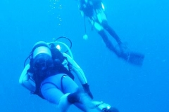 Krk & Cres underwater