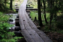 Pohorje landscapes