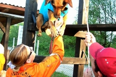 Canine Search & Rescue