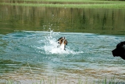 learning to swim, Rakov Škocjan