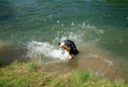 learning to swim, Rakov Škocjan